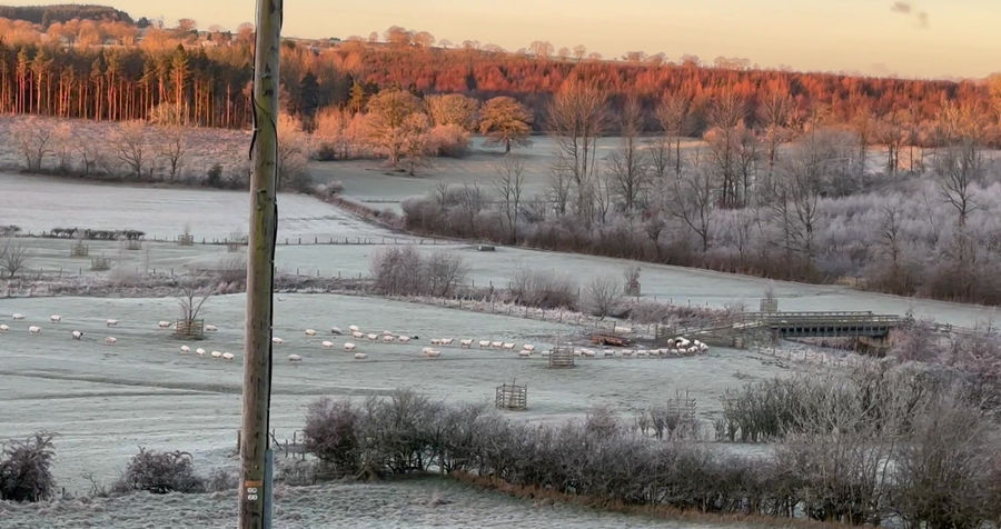 Winter at Peggies Barn